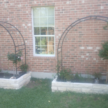 Arched steel trellis
