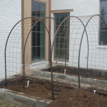 Arched steel trellis
